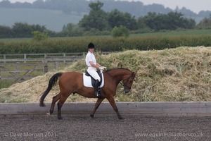 ISIS Dressage Challenge 2008